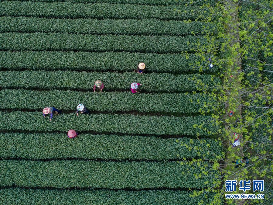 零基础教你如何选购智能马桶_云电竞