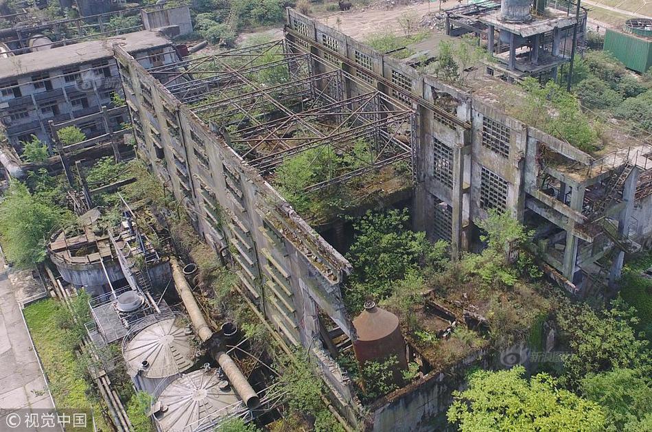 山东青岛全国爱鸟周春光中的火烈鸟_挂机宝雷电模拟器