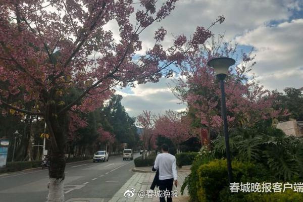 成都国企6亿元入股锤子被调查？官方：消息严重不实
