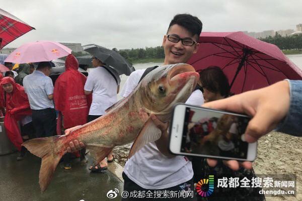 开始撤离？亚马逊中国网站访问出现异常_挂机宝挖矿