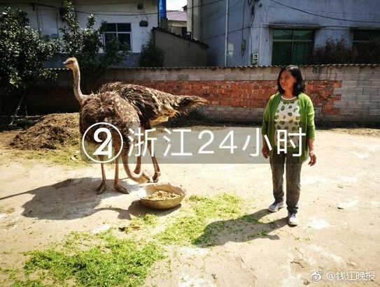 特斯拉蔚来着火 对新能源汽车消费影响几何
