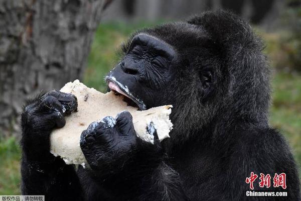 凤姐怼周立波一文不值、没文化！_9929独立IP