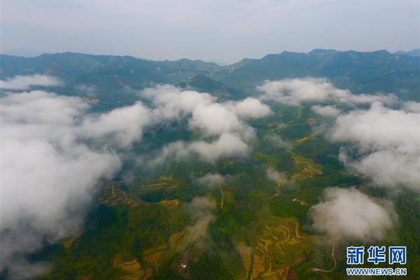 填坑创新高一个不能少_京东云服务器
