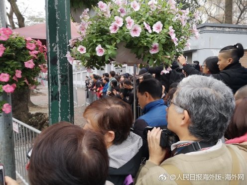 老人们说：麻将馆就是我的家_共享云服务器