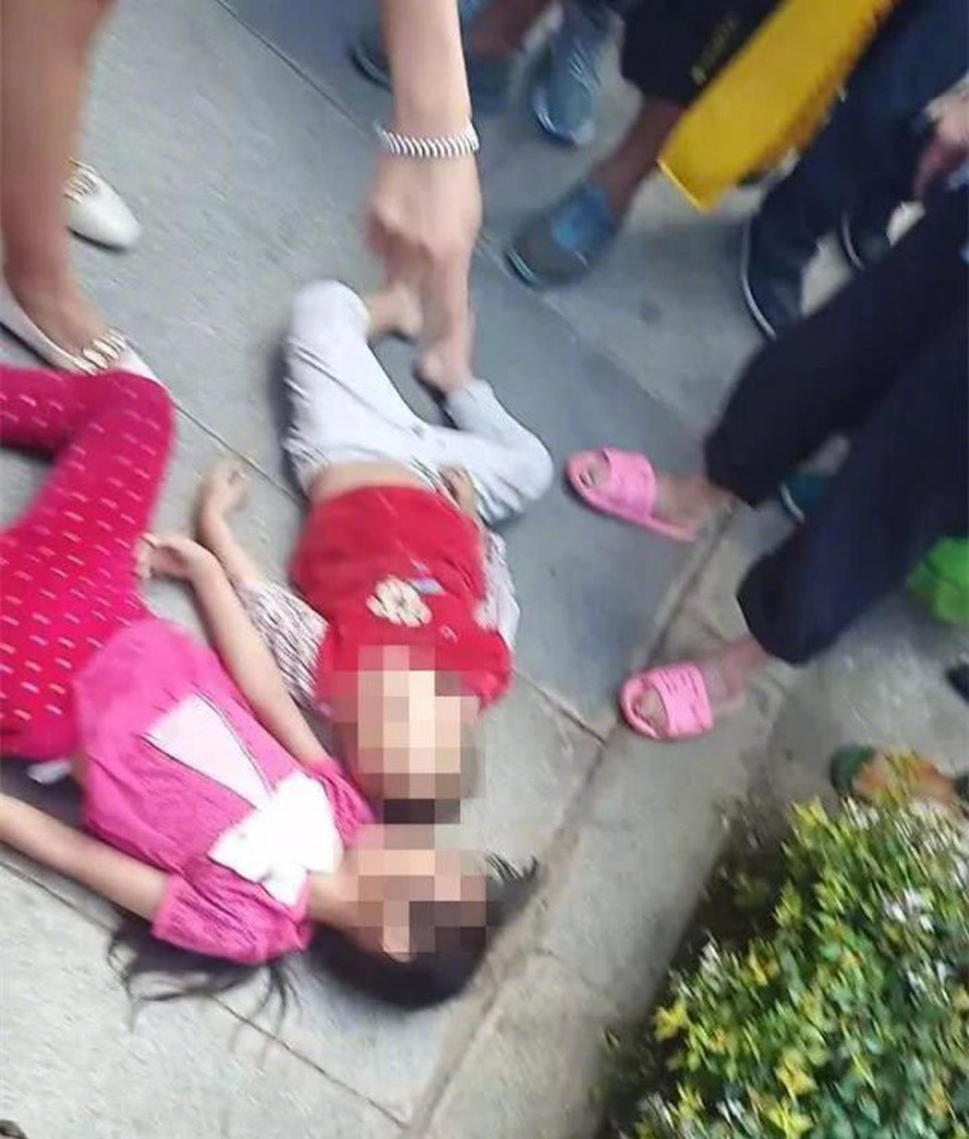 企鹅蛋为何不结冰?帝企鹅爸爸已经进化成