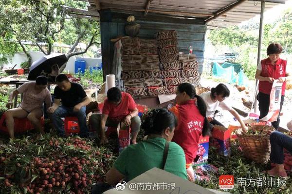 一季度iPhone销量仍下滑_云电脑续费