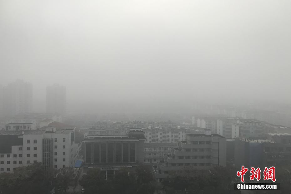 每日不可错过的十张图_云电脑租用