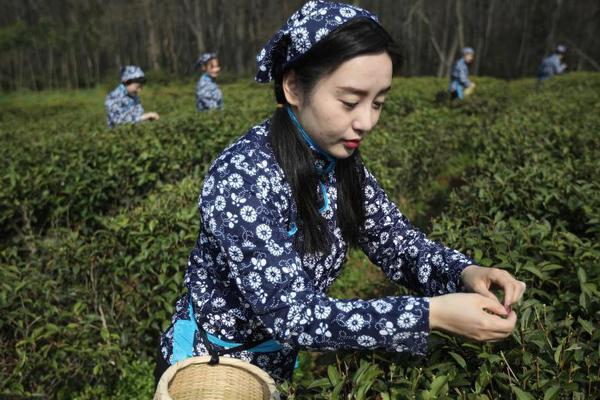 咋回击爱指责别人的人_香港CN2服务器性价比