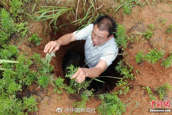 汤神季后赛三分升历史前五