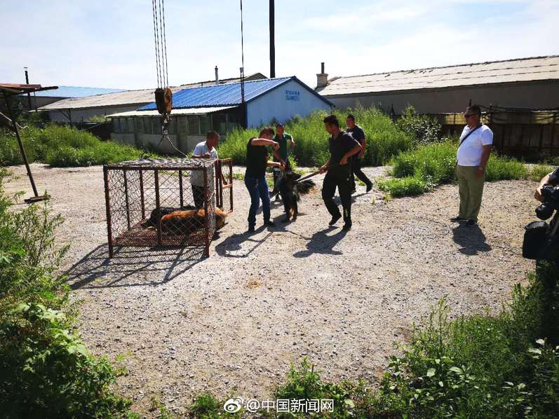 习近平出席第二届“一带一路”国际合作高峰论坛纪实_CN2服务器搭梯子