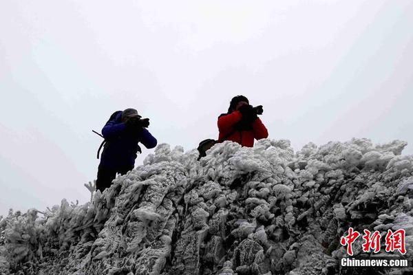 居民购房杠杆率连降5个季度 房价涨幅将收窄_青云云服务器