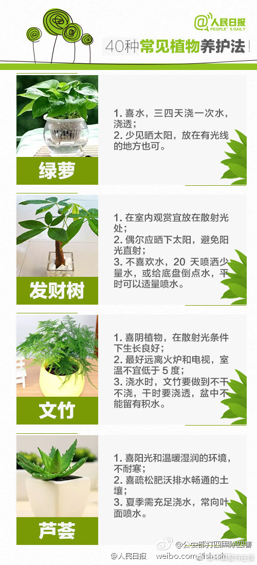 SHOP域名_CN2服务器防御