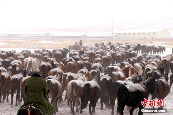 东北虎“智斗”无人机：预知“虎机大战”结果，你得一直看到最后……