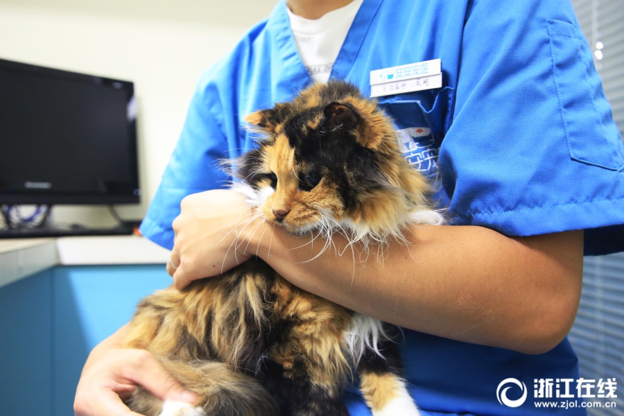 今6科创基金认购达发行限额6倍