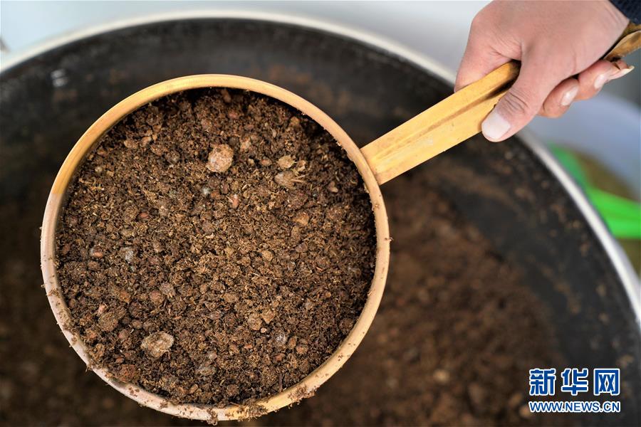 IPV6有什么好处呢_9929数据库服务器
