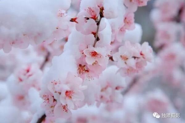 前11个月国企利润同比增长15.6%