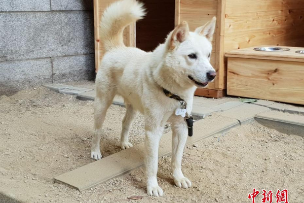 大型真香现场之股神篇_9929独享带宽
