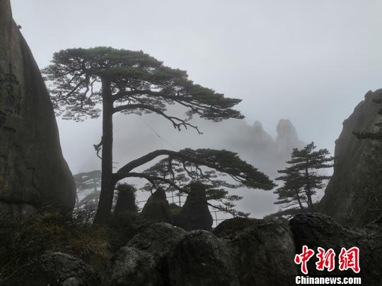 英超争四全解析：曼联真没戏了？蓝军枪手谁犯错_云游戏主机