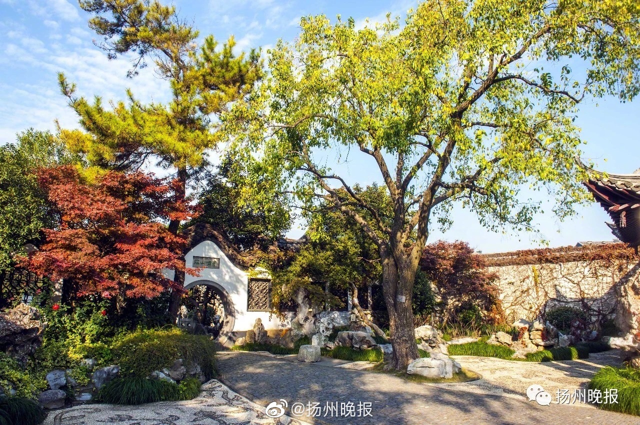 高圆圆官宣怀孕后首露面_云电脑体验