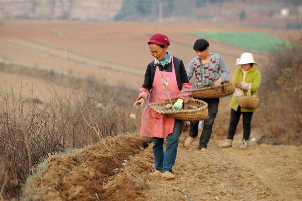 花2亿装修豪宅的卡戴珊 输给了家里放点钞机的他_香港CN2 GIA