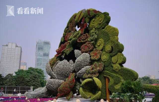 温暖善良的何炅:娱乐的角色,认真的人生_CN2服务器延迟