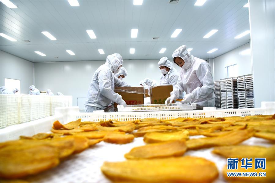 丰田全新雷凌配置曝光推四款车型_CN2 API服务器