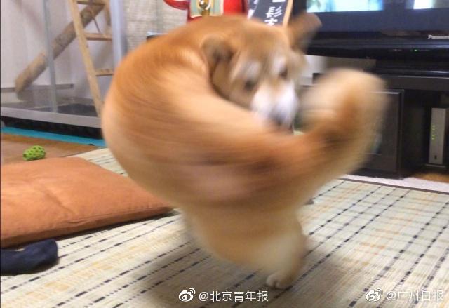 3分钟带你漫游苏州水乡古镇_腾讯云CVM