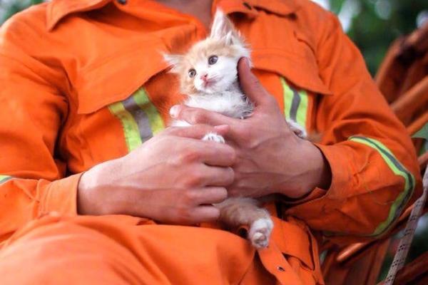 奔驰豪华越野皮卡车 X250d完爆福特猛禽_分支机构云电脑