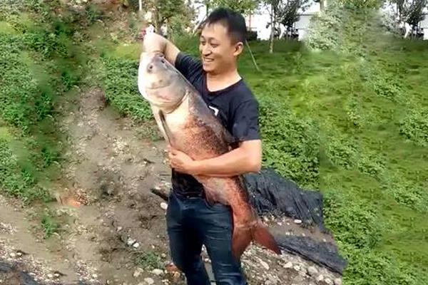 摊上大事了！周星驰电影投资人涉嫌非法集资被抓