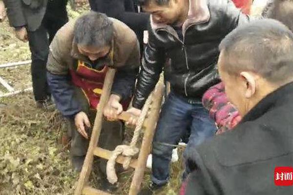 谁最爱“胡扯”?英媒:研究称男人更爱不懂装懂_外贸网站服务器