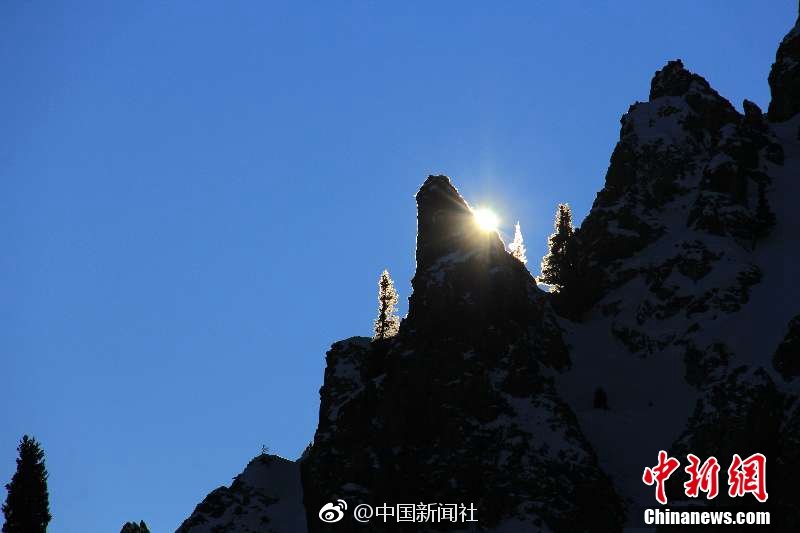 《追龙Ⅱ》定档6.6 梁家辉古天乐双雄争霸_CN2云服务器