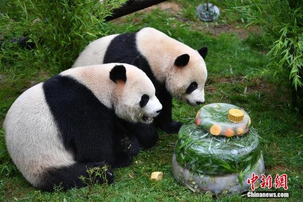 为了不被催婚，我给父亲写了封信_CN2服务器节点