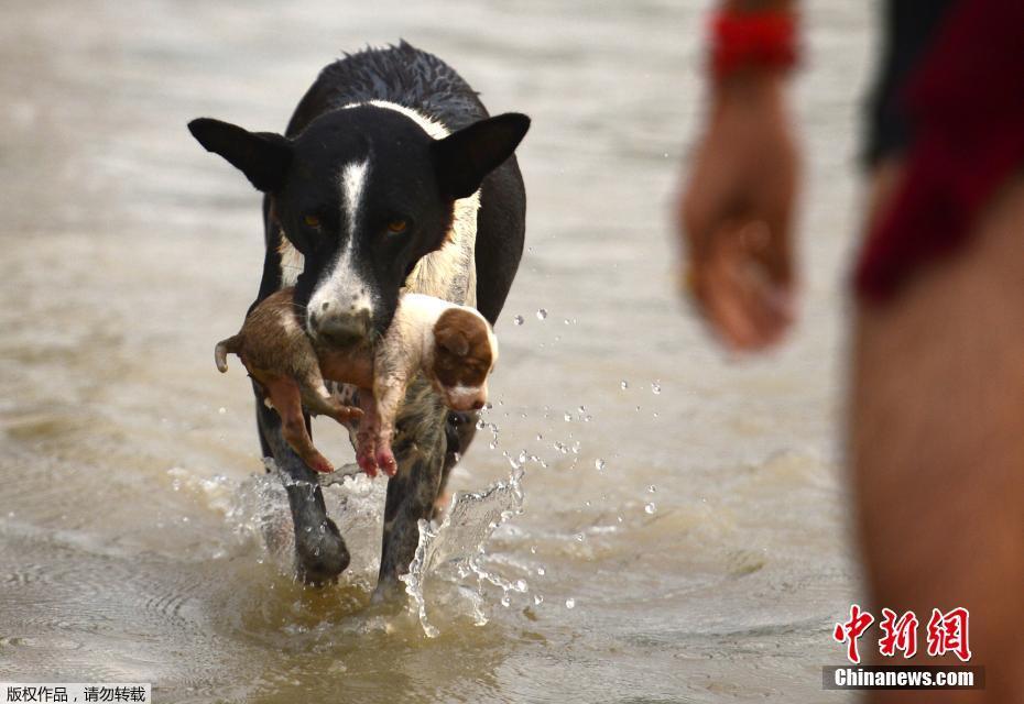 俄乌领导人针锋相对隔空喊话 各自为对话开条件_华为云鲲鹏