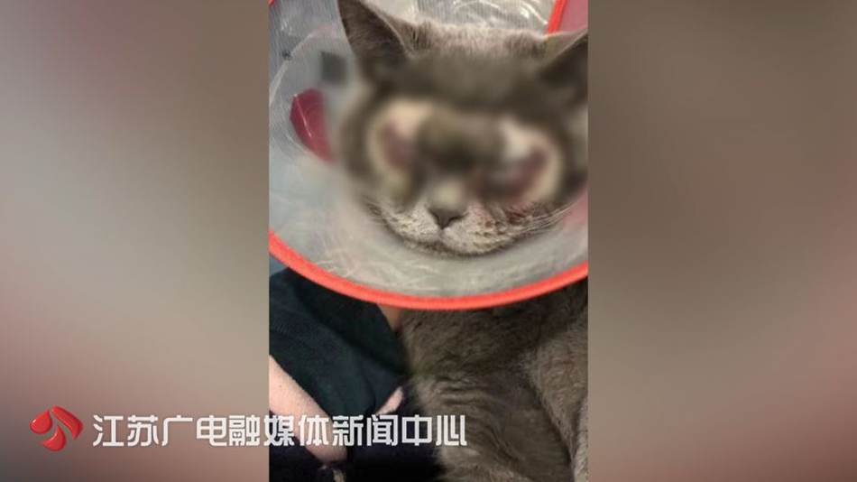 90后摄影师镜头下的中国_电商云服务器