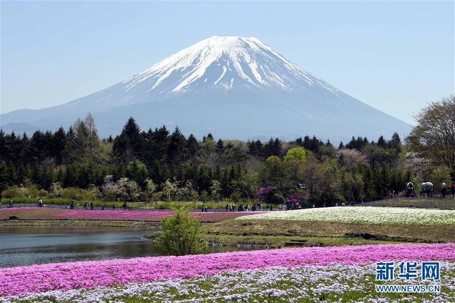 深圳买家收购设计师品牌Jason Wu_CN2服务器新手教程