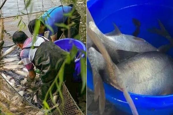 AI体测、智能试衣、智慧客厅,南都记者揭秘“中国品牌日”看点_挂机宝不支持3D游戏