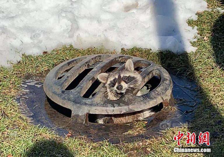 行李箱砸向老人一瞬间 小伙一把截住_挂机宝VPN