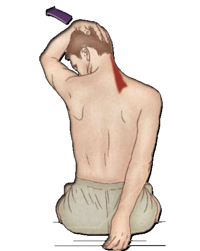 倪妮评价张震黄觉廖凡：一个暖，一个文艺_CN2爬虫服务器