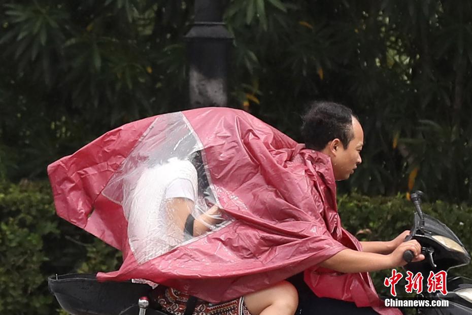 @潮州人,这种螺分分钟“要你命”!还有这些食物_广州云服务器