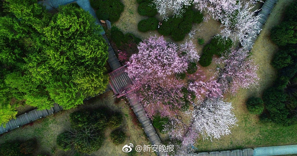 拍下票根参与抽奖，在LOFTER记录电影时光_9929BGP