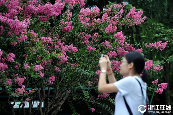 大兴机场跑道滑行道等设施通过验收_云服务器免费试用