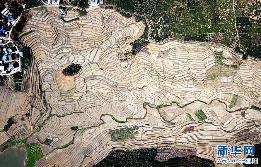 GIF:爹回来啦!爹回来啦!_CN2 cloud hosting