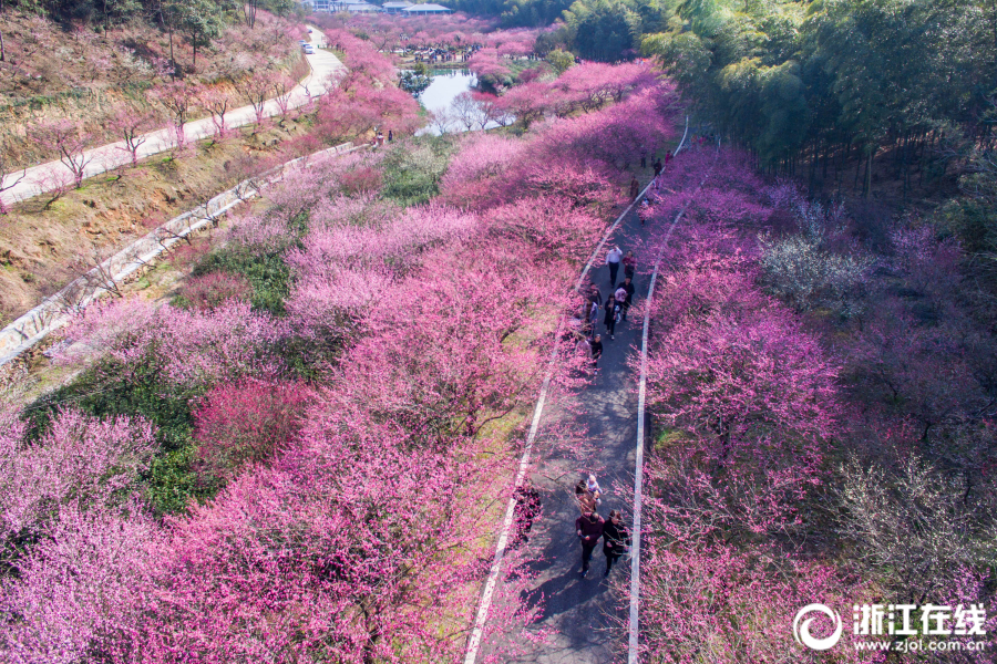 油烟机该选顶吸还是侧吸_香港CN2服务器价格