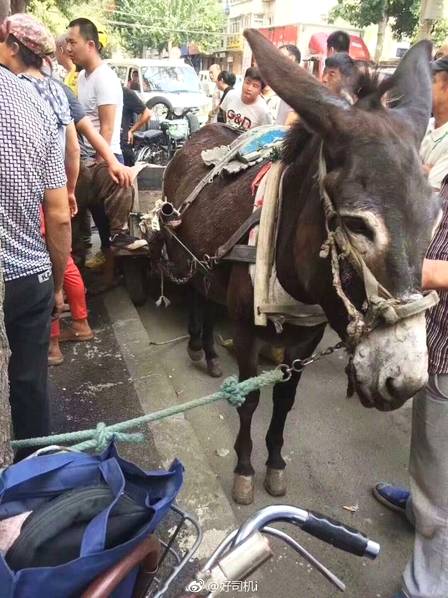 大卖融合套餐产品，运营商无异于饮鸩止渴