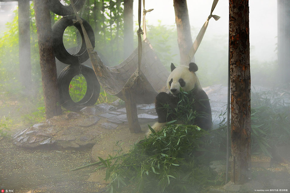 高僧圆瑛法师罕见旧照_云电脑数据安全