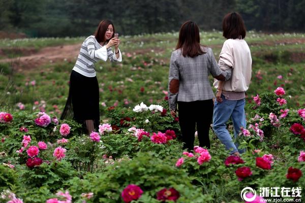 市场震荡分化：上证50护盘涨1.75% 题..._容器云服务器