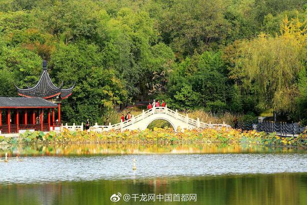 合肥土地市场“狂奔” 70多家企业抢一地_挂机宝自动化