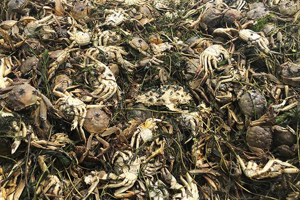 “苏大强”当老师？周迅出席倪大红公开课 眼神专注侧颜清瘦_9929测评