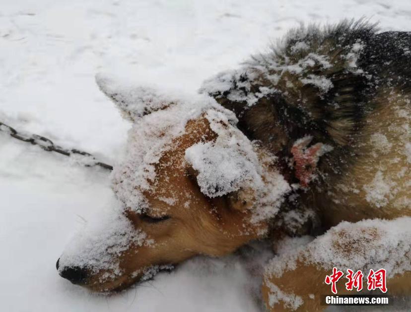 华泰人寿2018年净利润增7倍 保险业务收入增两成_云服务器入门