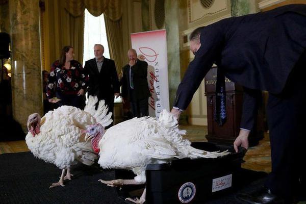 SSL加密是什么意思_CN2服务器mtr